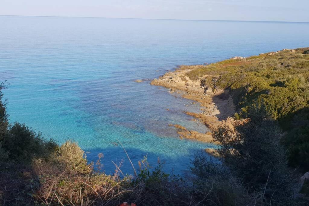 Monticello, Ile-Rousse - Residence Fiore Di Mare Экстерьер фото
